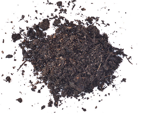 Topsoil (Screened)