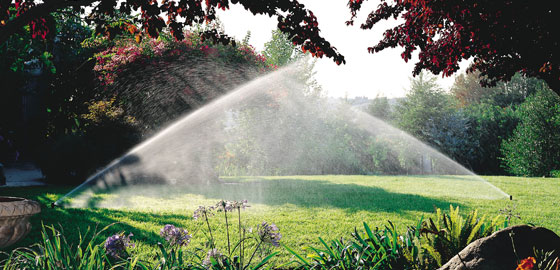 Irrigation & Drainage